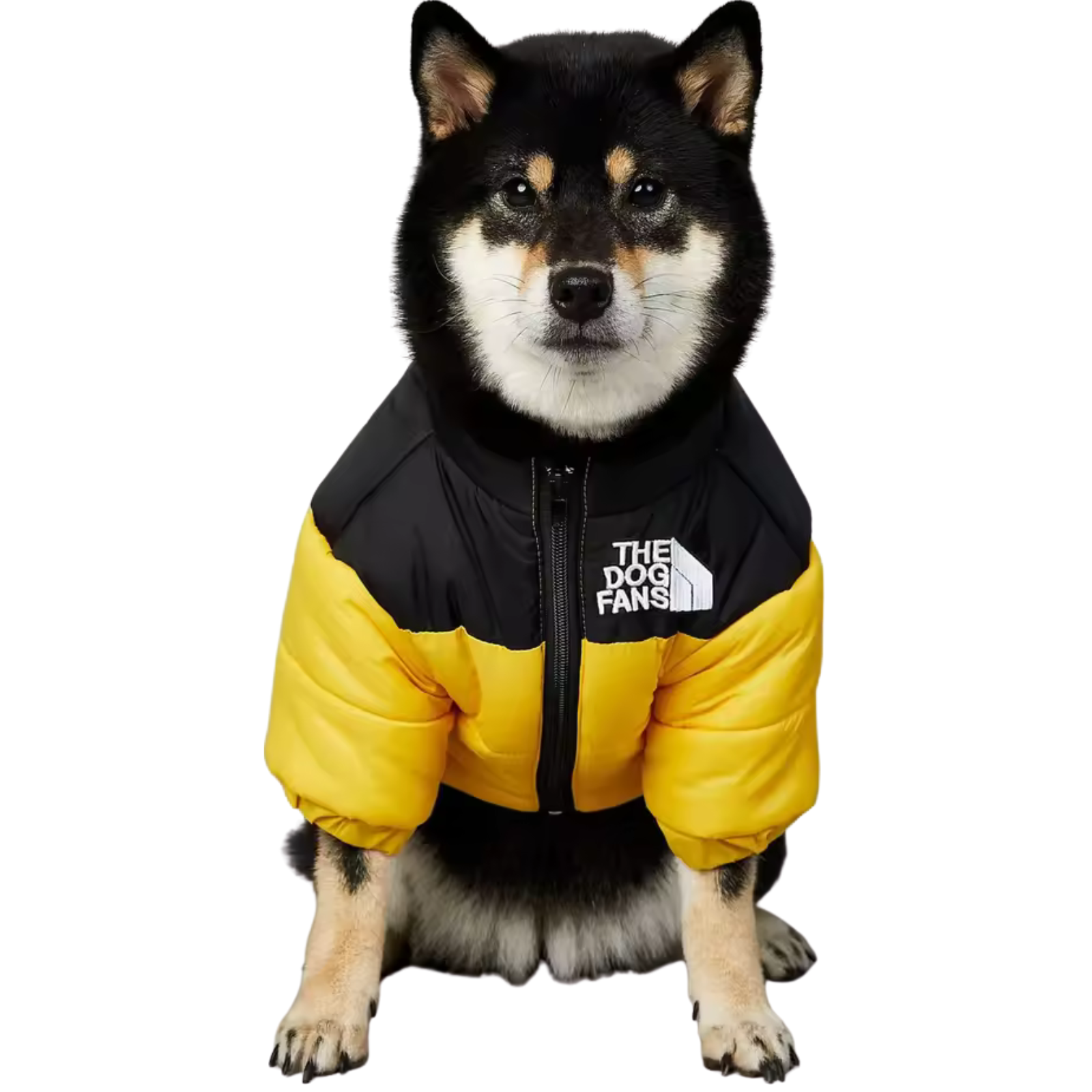 The Dog Face Jacket
