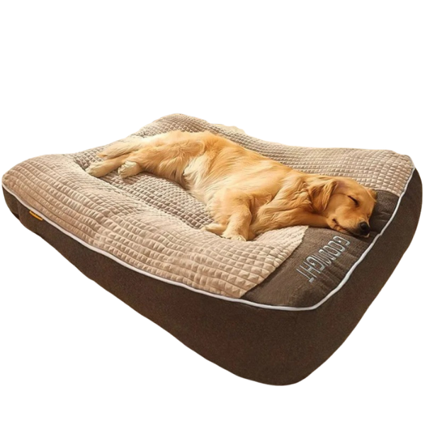 Orthopedic Large Dog Beds