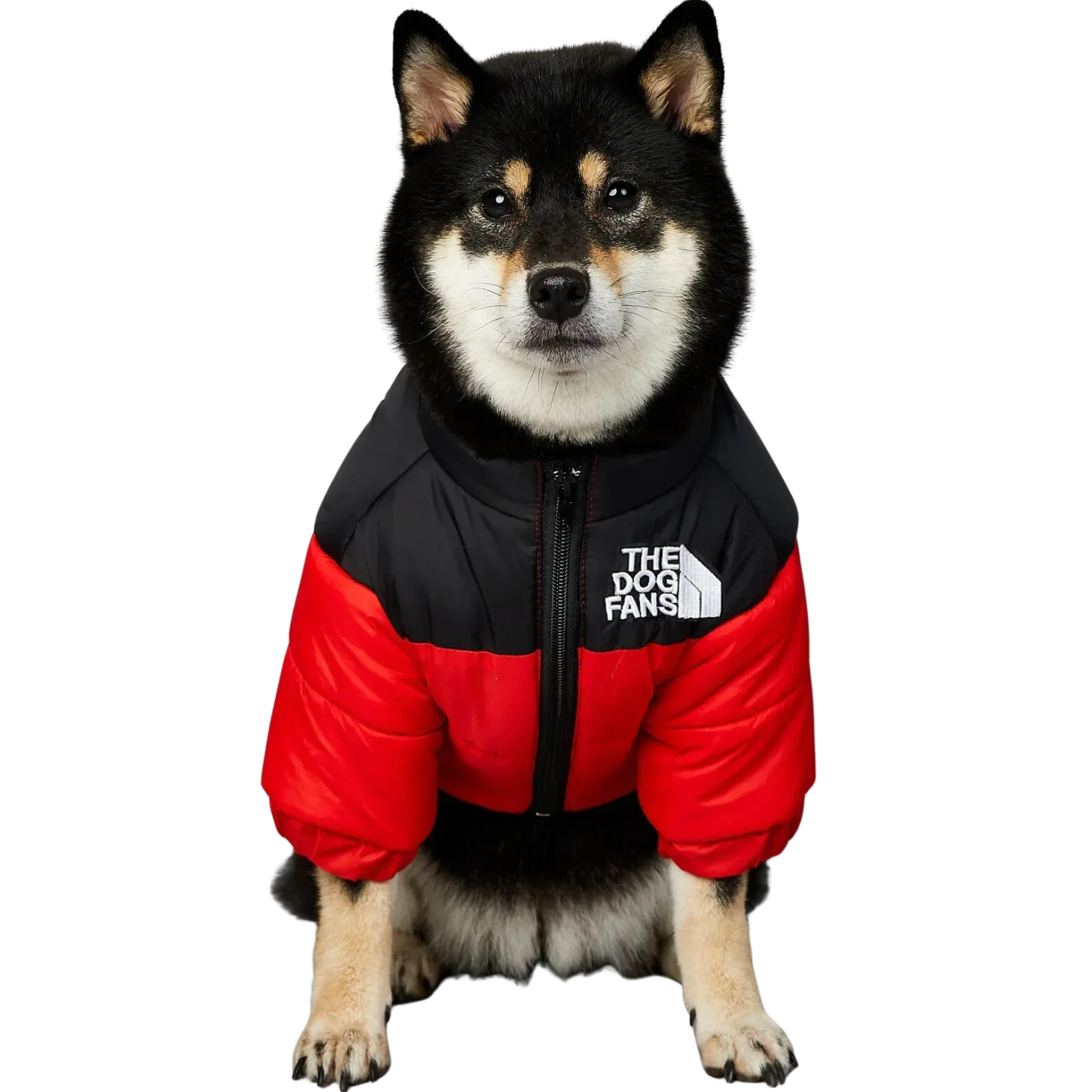 The Dog Face Jacket