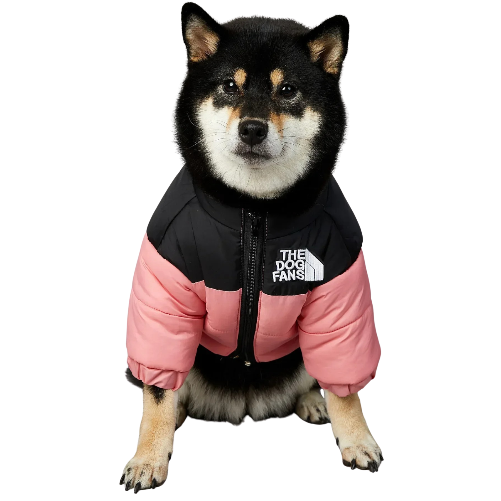 The Dog Face Jacket