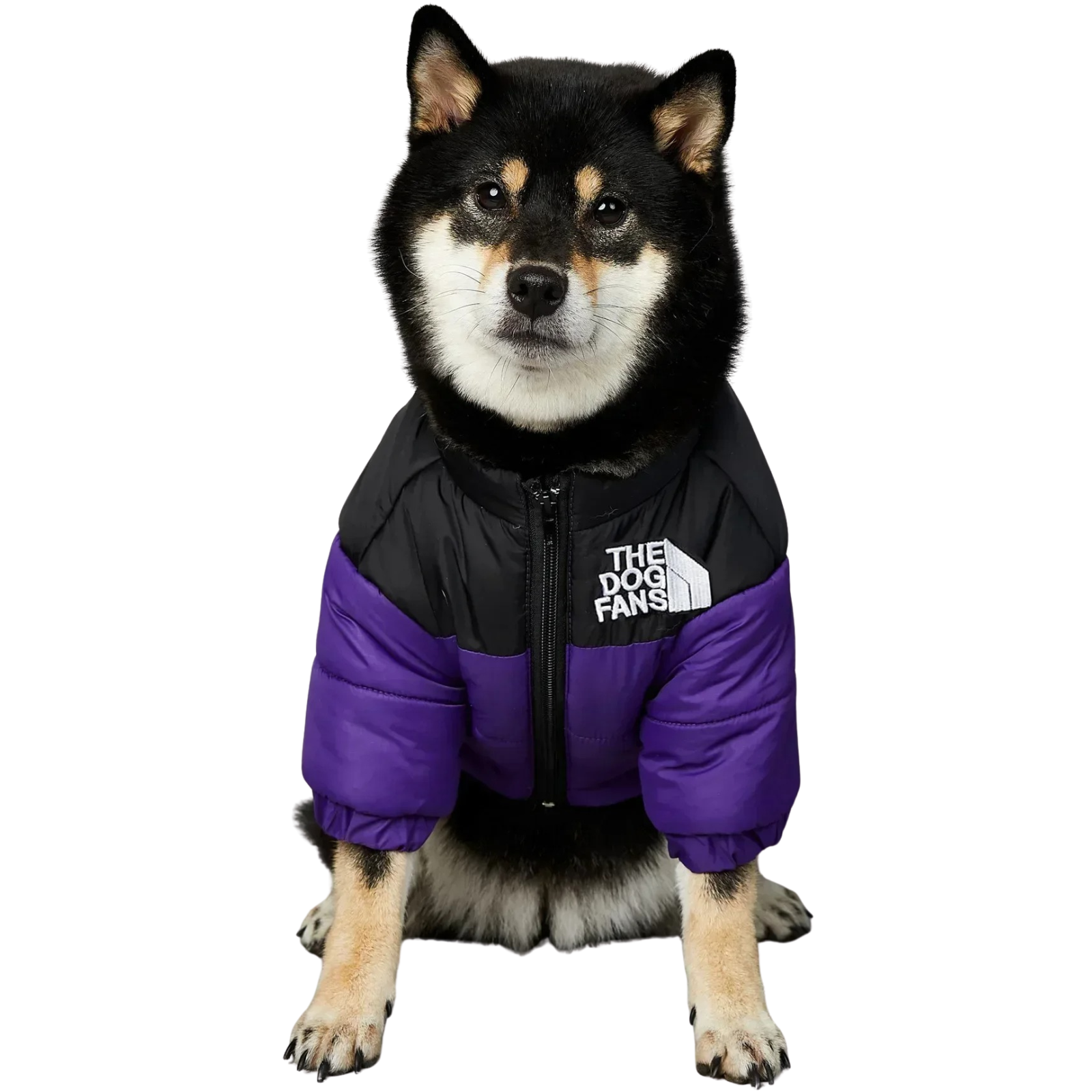 The Dog Face Jacket