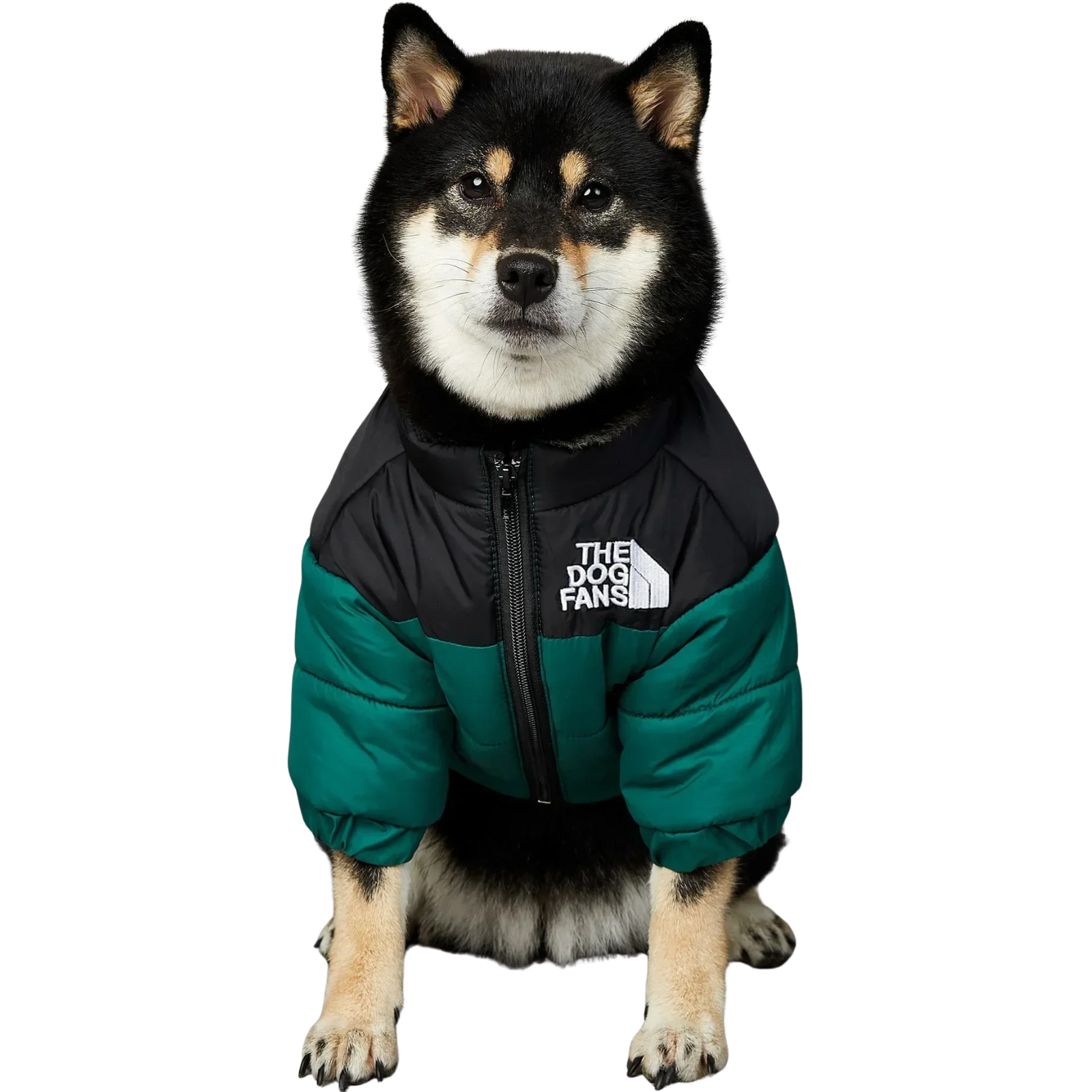 The Dog Face Jacket