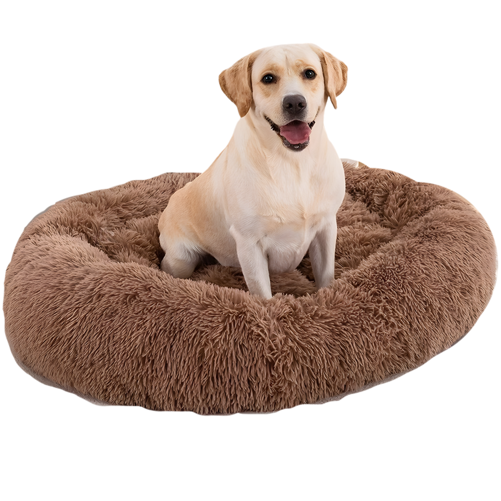 Donut Bed