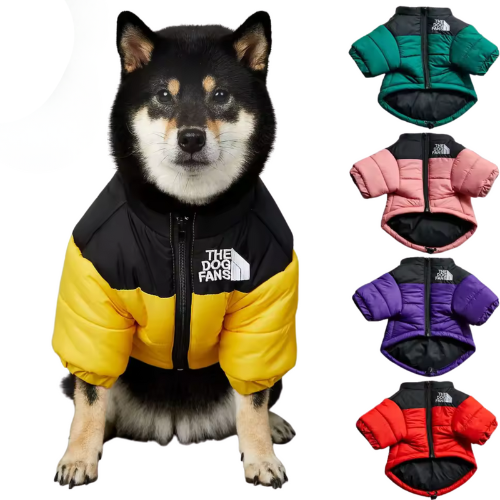 The Dog Face Jacket